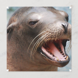 California Sea Lion Invitations