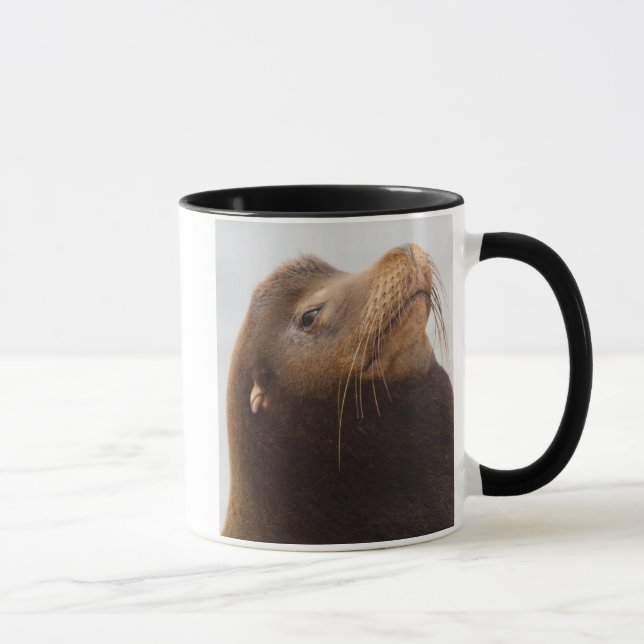 California Sea Lion Mug (Right)