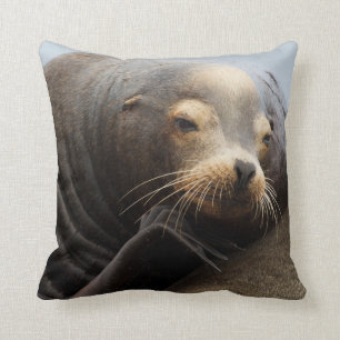 California Sea Lion Resting Cushion