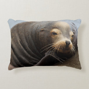 California Sea Lion Resting Decorative Cushion