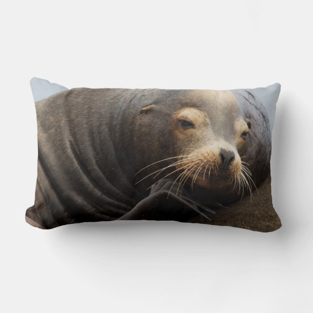 California Sea Lion Resting Lumbar Cushion (Front)