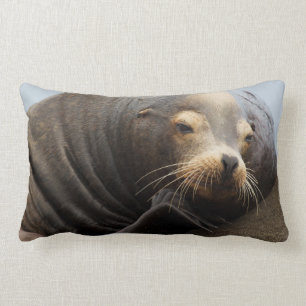 California Sea Lion Resting Lumbar Cushion