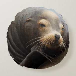 California Sea Lion Resting Round Cushion