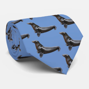 California sea lion tie