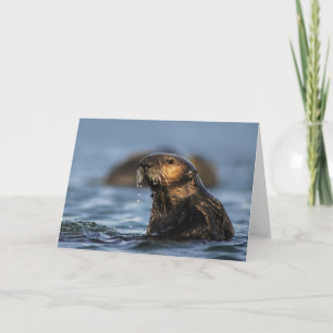 California Sea Otter Card
