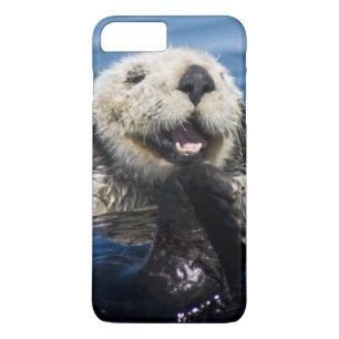 California Sea Otter Enhydra lutris) grooms iPhone 8 Plus/7 Plus Case