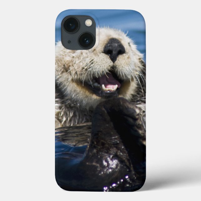 California Sea Otter Enhydra lutris) grooms Case-Mate iPhone Case (Back)