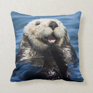 California Sea Otter Enhydra lutris) grooms Cushion