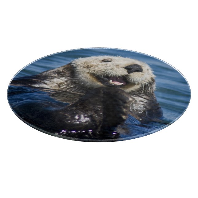 California Sea Otter Enhydra lutris) grooms Cutting Board (Corner)