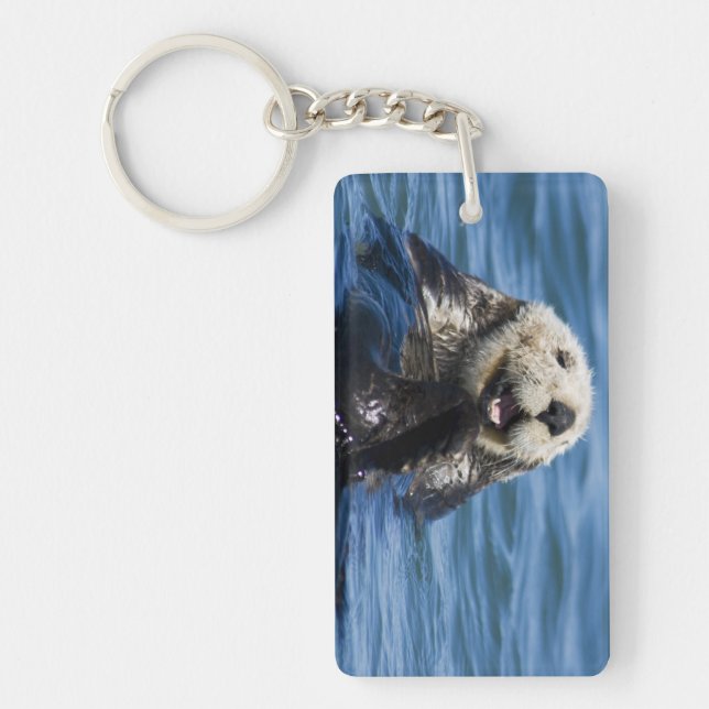 California Sea Otter Enhydra lutris) grooms Key Ring (Front)