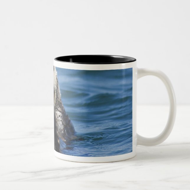 California Sea Otter Enhydra lutris) grooms Two-Tone Coffee Mug (Right)