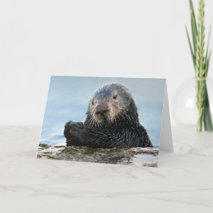 California Sea Otter Playing with Stone Card