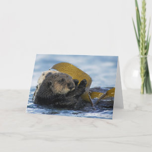 California Sea Otters Card