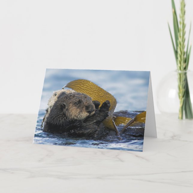 California Sea Otters Card (Front)