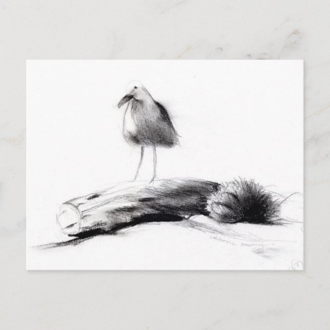 California Seagull 2012 Postcard (Front)