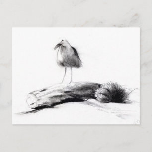 California Seagull 2012 Postcard