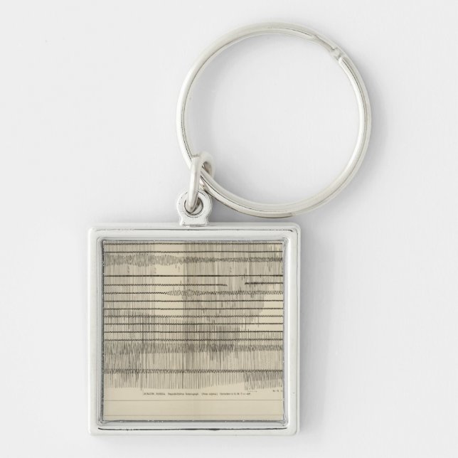 California Seismograms 10 Key Ring (Front)