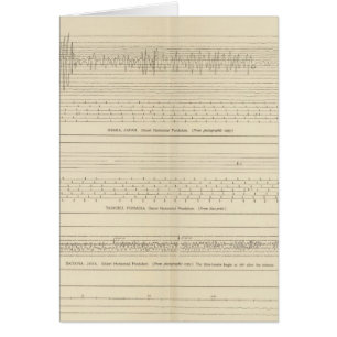 California Seismograms 15