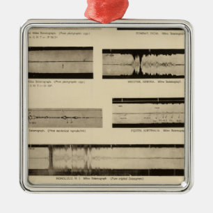 California Seismograms 2 Metal Tree Decoration