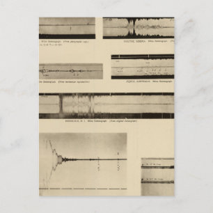 California Seismograms 2 Postcard