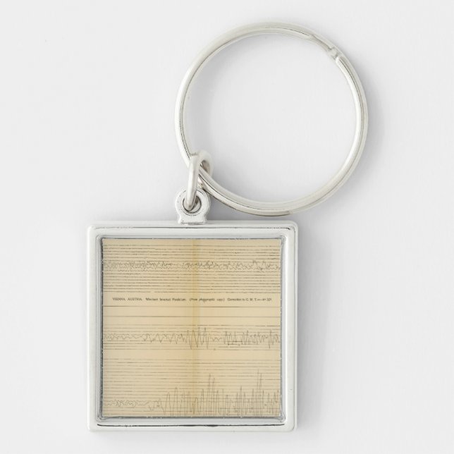 California Seismograms 9 Key Ring (Front)