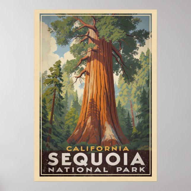California Sequoia National Park V01 Poster (Front)