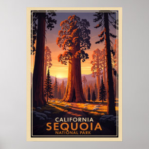 California Sequoia National Park V02 Poster