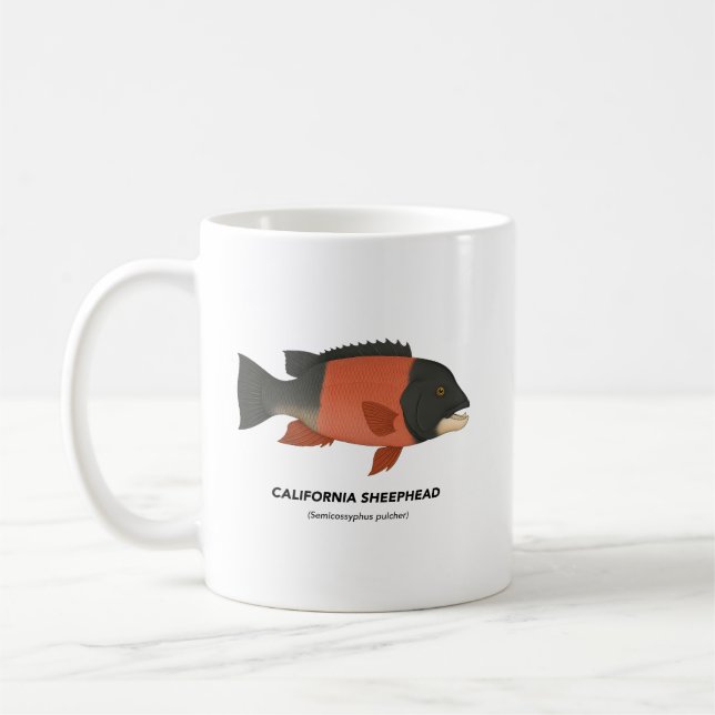 California Sheephead - Marine Animals of Californi Coffee Mug (Left)