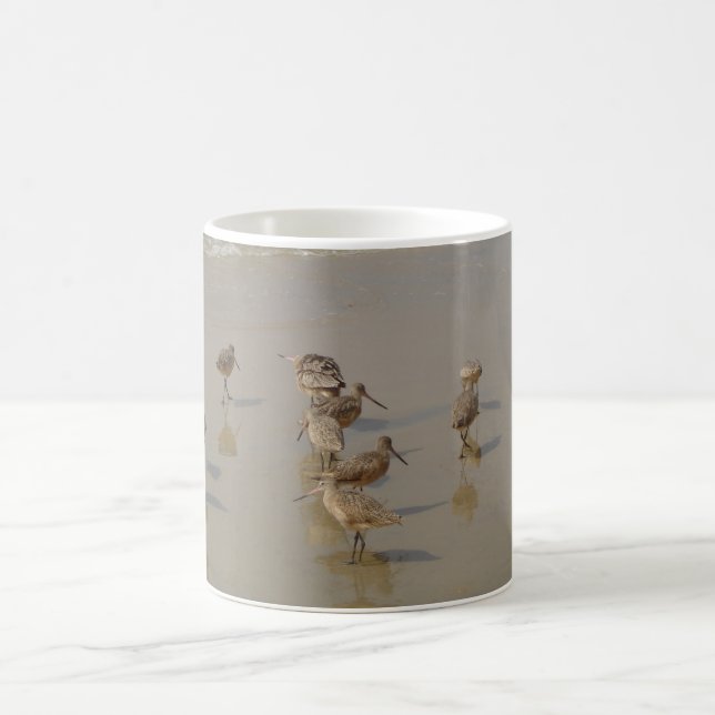 California Shore Birds Coffee Mug (Center)