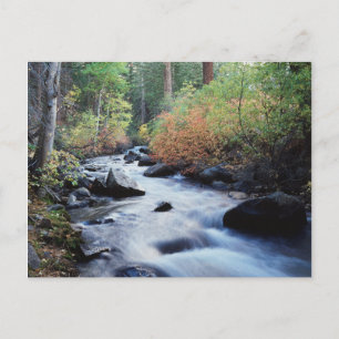 California, Sierra Nevada Mountains 11 Postcard