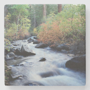California, Sierra Nevada Mountains 11 Stone Coaster