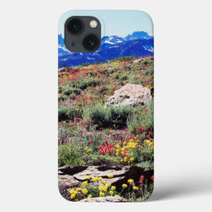California, Sierra Nevada Mountains 1 iPhone 13 Case