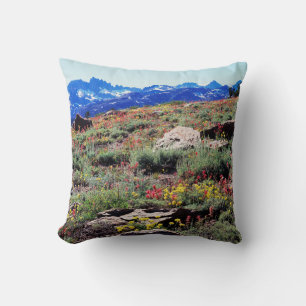 California, Sierra Nevada Mountains 1 Cushion