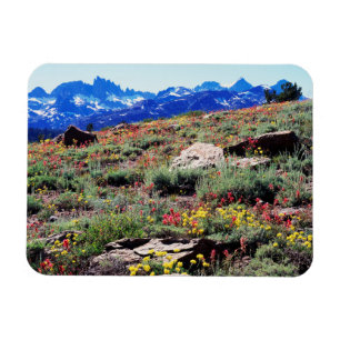 California, Sierra Nevada Mountains 1 Magnet