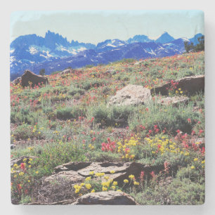 California, Sierra Nevada Mountains 1 Stone Coaster