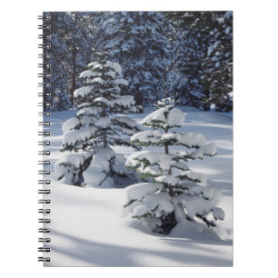 California, Sierra Nevada Mountains 8 Notebook