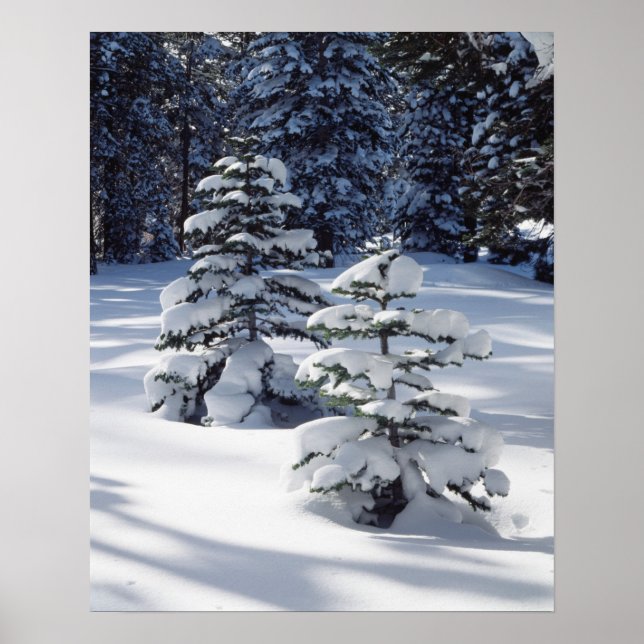 California, Sierra Nevada Mountains 8 Poster (Front)