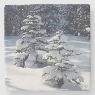 California, Sierra Nevada Mountains 8 Stone Coaster