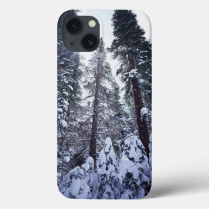 California, Sierra Nevada Mountains 9 iPhone 13 Case