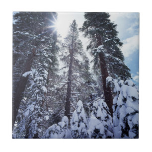 California, Sierra Nevada Mountains 9 Ceramic Tile