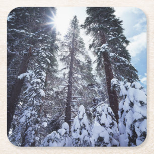 California, Sierra Nevada Mountains 9 Square Paper Coaster