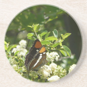 California Sister Butterfly in Yosemite Coaster