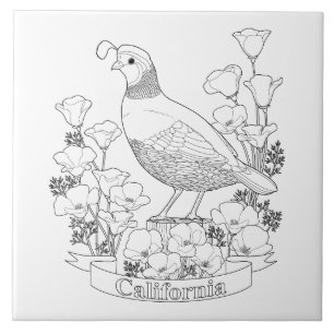 California State Bird and Flower Colouring Page Tile