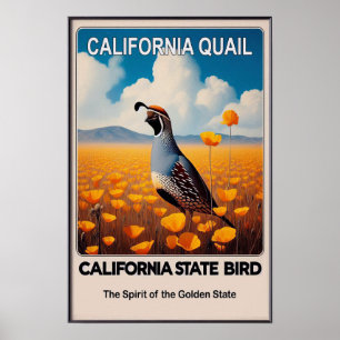 California State Bird - California Quail Vintage Poster