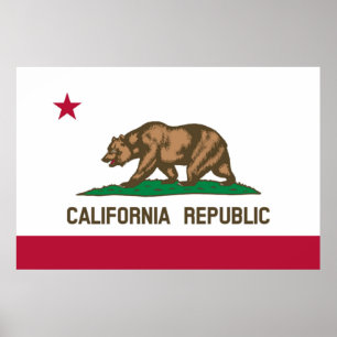 California State flag Poster