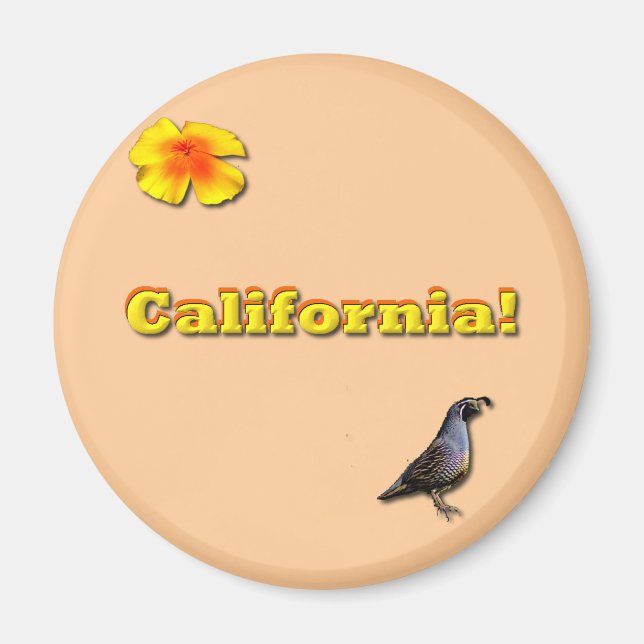 California State Magnet (Front)