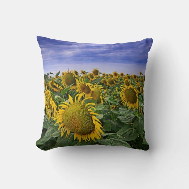 California Sunflower Fields Cushion (Front)