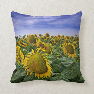 California Sunflower Fields Cushion