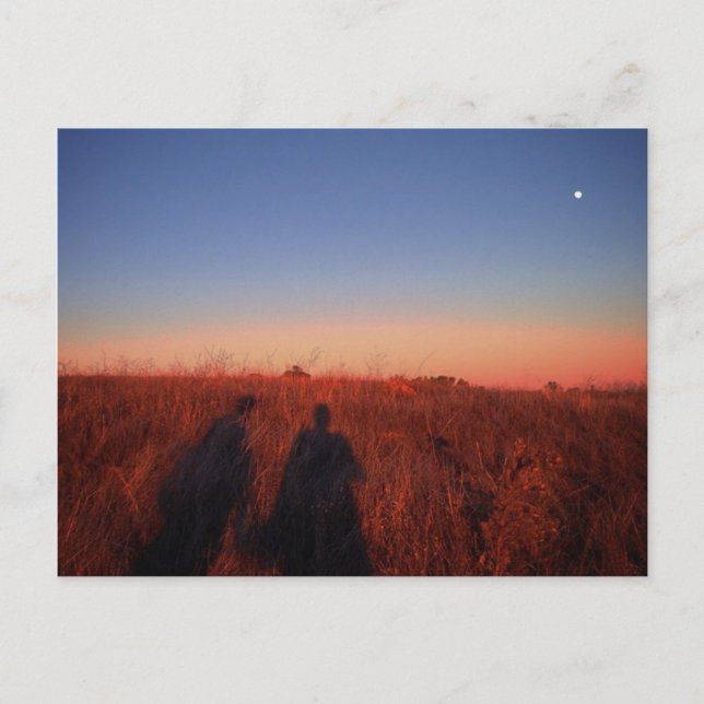 California Sunset Postcard (Front)