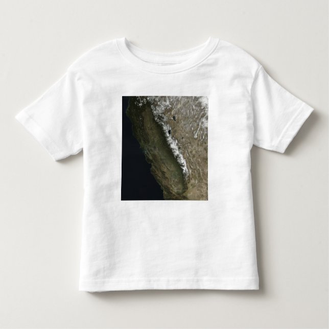 California Toddler T-Shirt (Front)